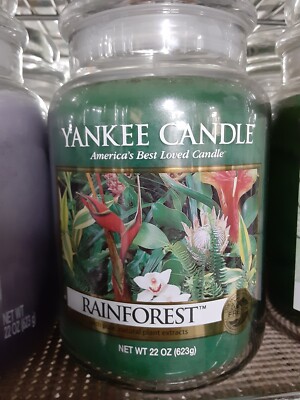Yankee Candle Original Classic Large Jar Single Wick Candle 22 oz You Pick  