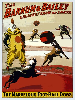Decoration Poster.Home wall art.Room interior design.Circus Pitbull decor.9213