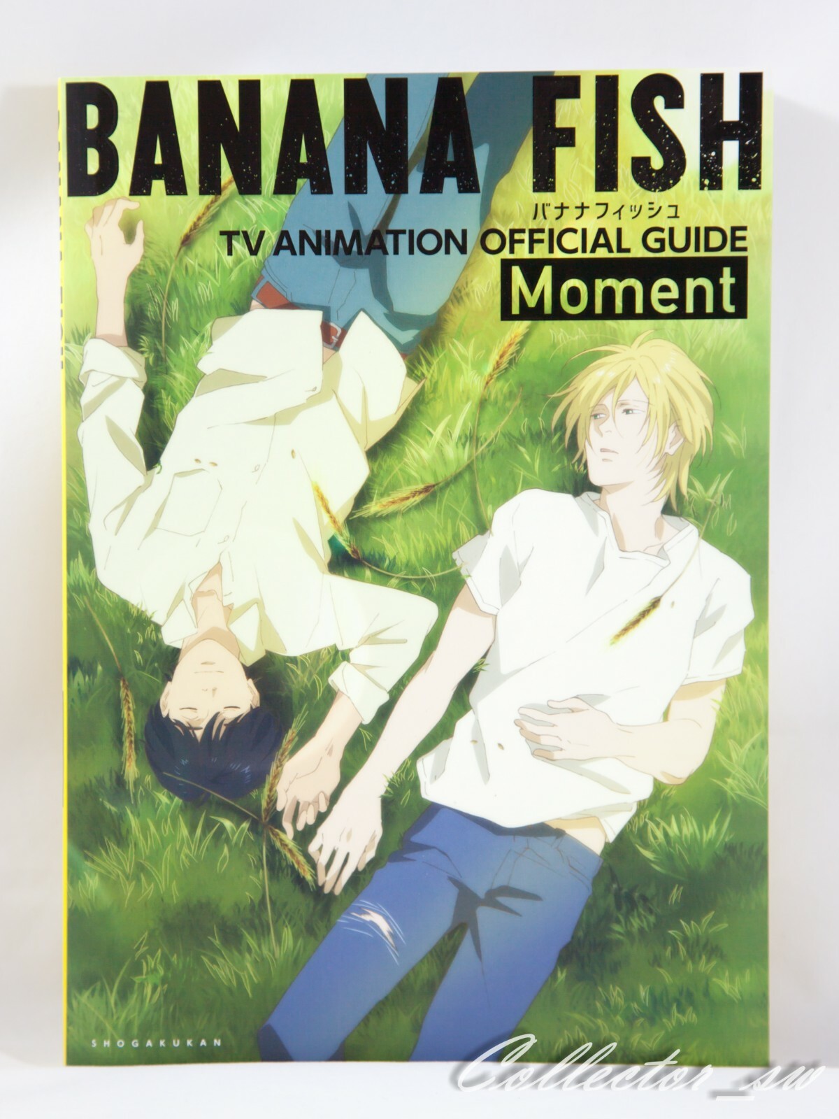 Banana Fish TV Animation Official Guide: Moment (AIR/DHL) | eBay