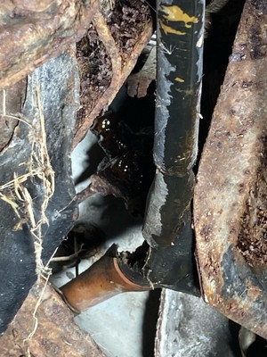 image 3 of other