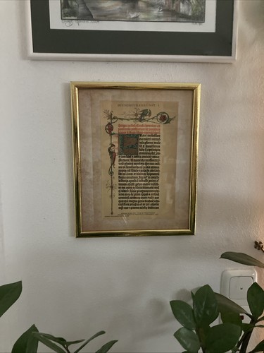 Foto dell'oggetto di un acquirente verificato