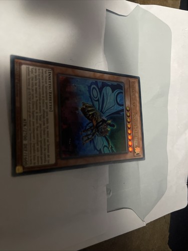Fotos del artículo de un comprador verificado