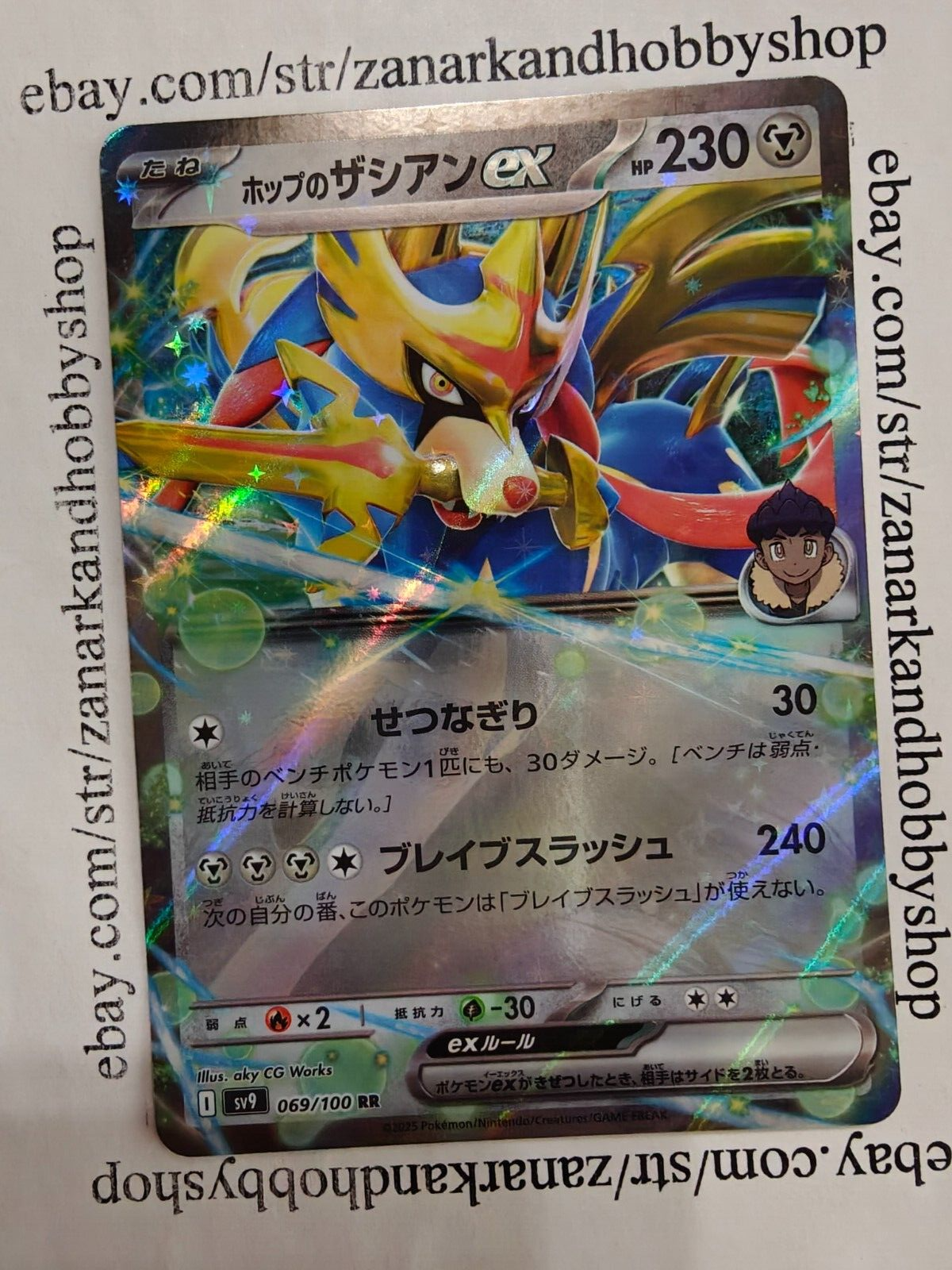 週末限定価格☆OLD MOUNTAIN BOTANIZE kakemono Pokemon Hop's Zacian ex I sv9 069/100 RR Battle Partners JAPANESE