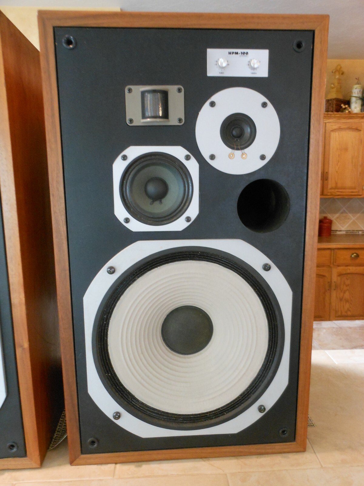 HPM-100 Pioneer hpm/100 100 Watt 