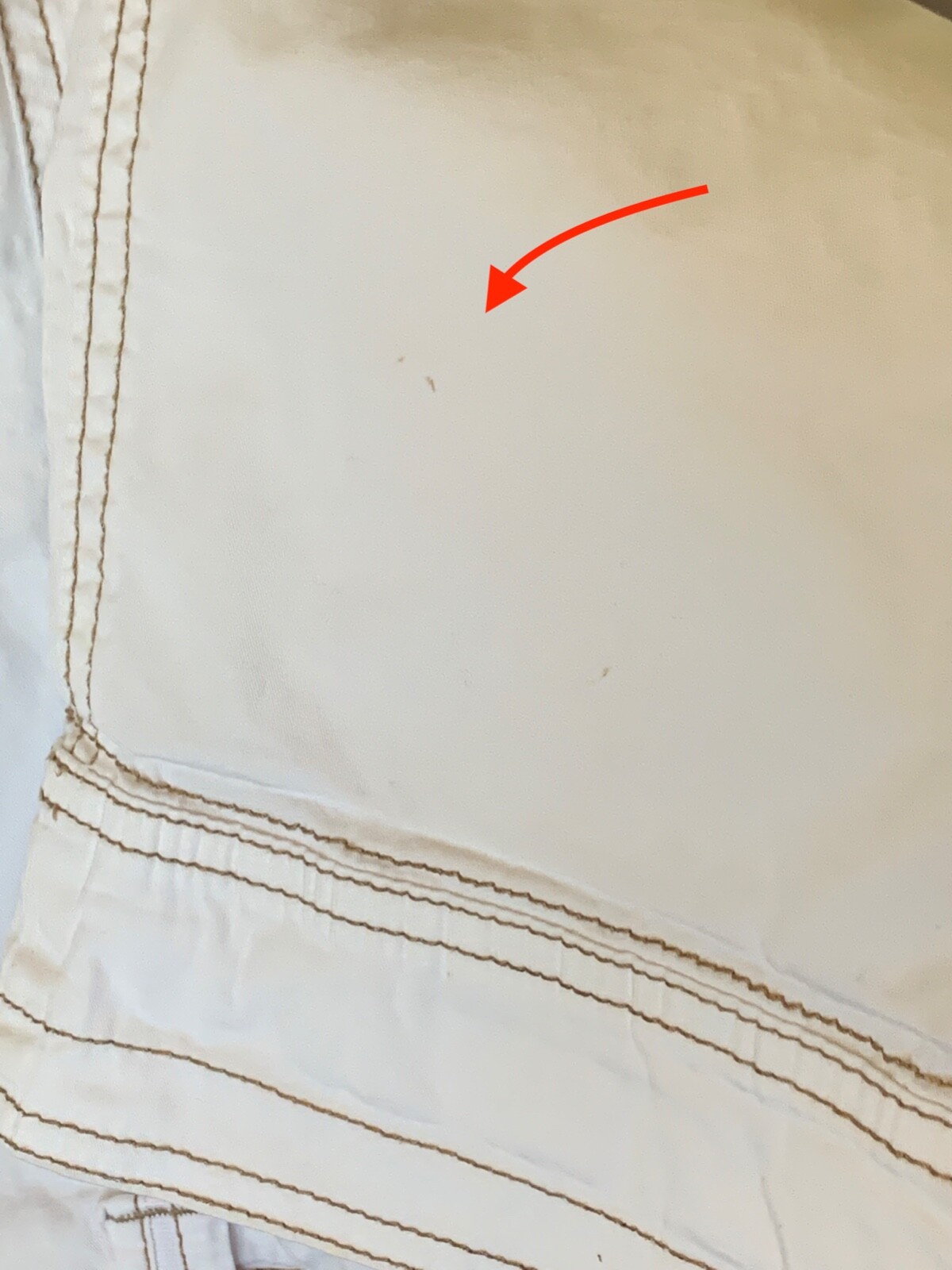Aventura Organic "Arden" Womens cotton cargo convertible pants, Size 6, White