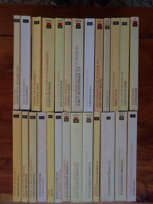 W1- Champs Flammarion- 26 Livres ( Barrow,Foisil,Alain,Combes,JankÃ©LÃ©Vitch,Hegel