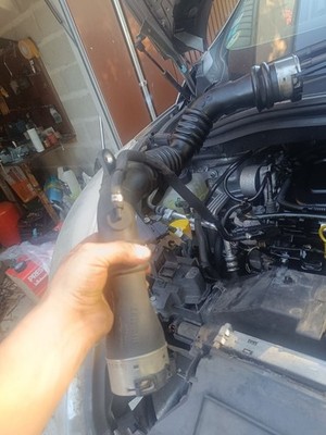 Artikelfoto(s) von einem verifizierten Käufer