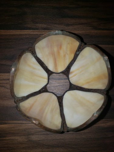 Antique Slag Glass Light Shade Marbled Creams Brass