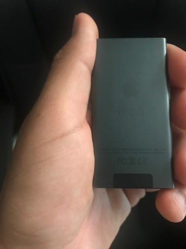 Apple iPod nano 7th Generation Slate (16 GB)