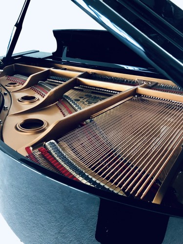 Knabe Grand Piano KN500 Player MINT Michigan Black