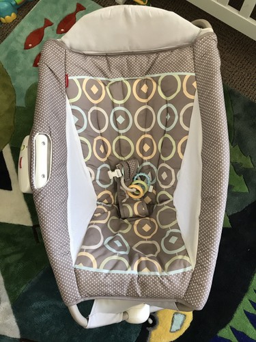 New In Box Fisher Price Rock n Play Sleeper