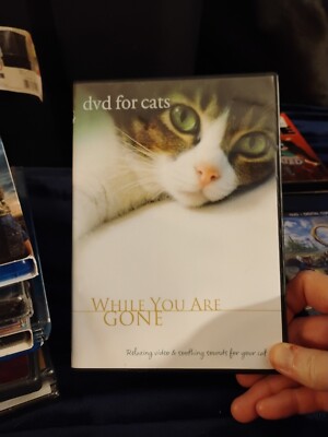 DVD For Cats: While You Are Gone - DVD By Cats - Very Good