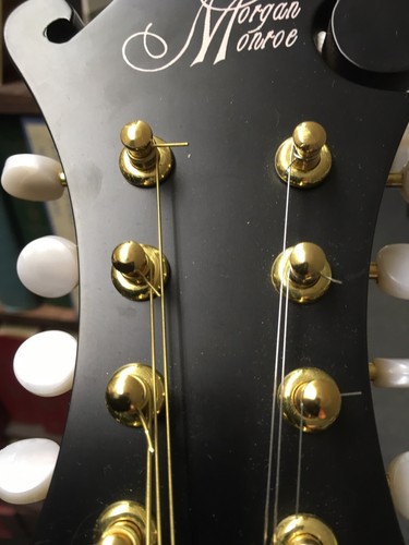 mandolin