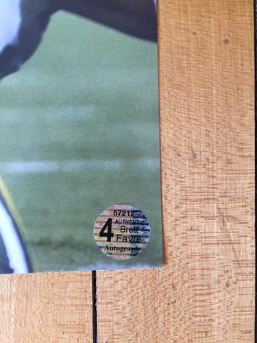 Brett Favre Signed 16x20 Photo Packers