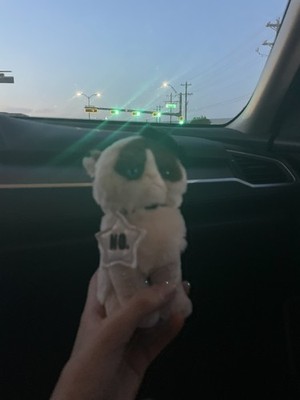 經驗證買家提供的物品圖片