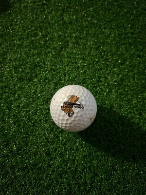 TANGLEWOOD GOLF COURSE RARE OLD LOGO GOLF BALL