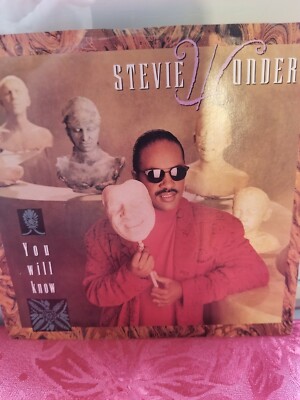 Vintage stevie Wonder 45 rpm ''you will know'' first printing ~ rare ~ super clean