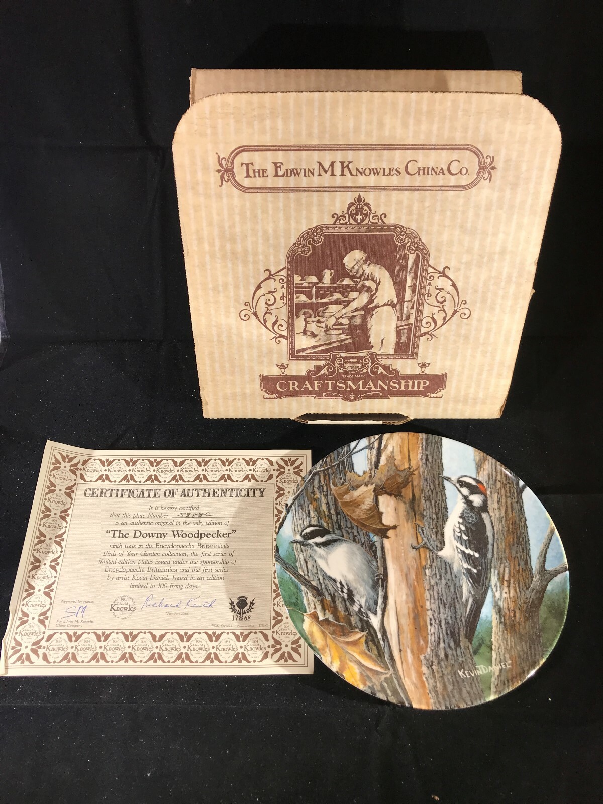 Knowles Encyclopaedia Britannica Birds of Your Garden DOWNY WOODPECKER