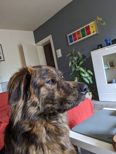 Artikelfoto(s) von einem verifizierten Käufer