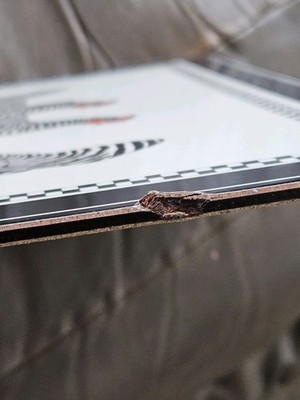 Fotos del artículo de un comprador verificado