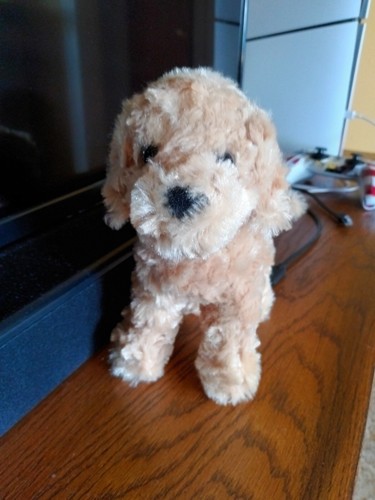 Fotos del artículo de un comprador verificado