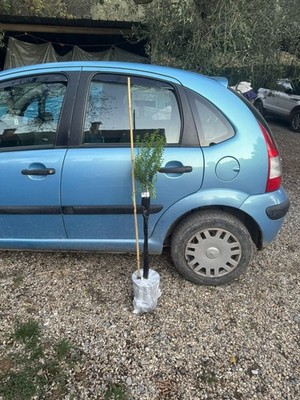 Foto dell'oggetto di un acquirente verificato