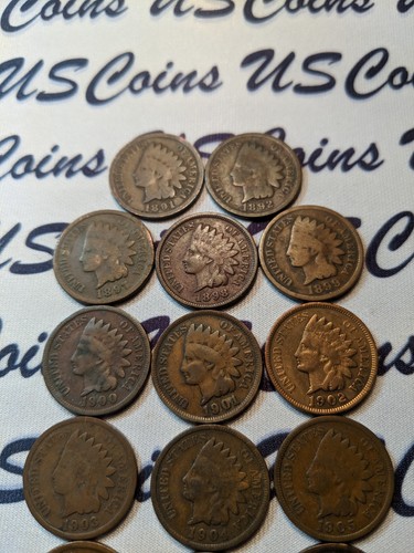 Indian head penny lot, 14 Coins, NO DUPLICATE DATES (12119-1)