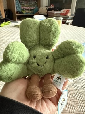Photos de l'objet d'un acheteur vérifié