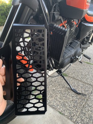 Photos de l'objet d'un acheteur vérifié