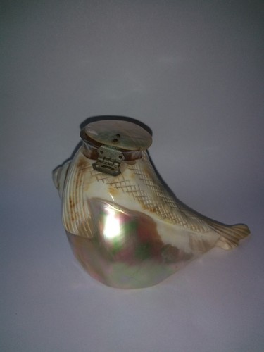 Vintage Carved Shell Fish Ink Well Glass Insert Abalone