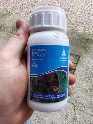 Foto dell'oggetto di un acquirente verificato