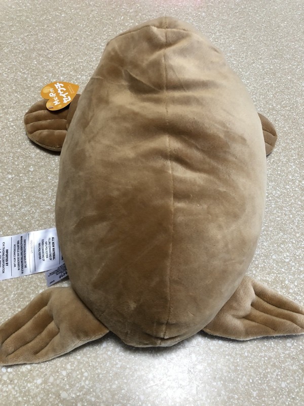 mochipuni walrus