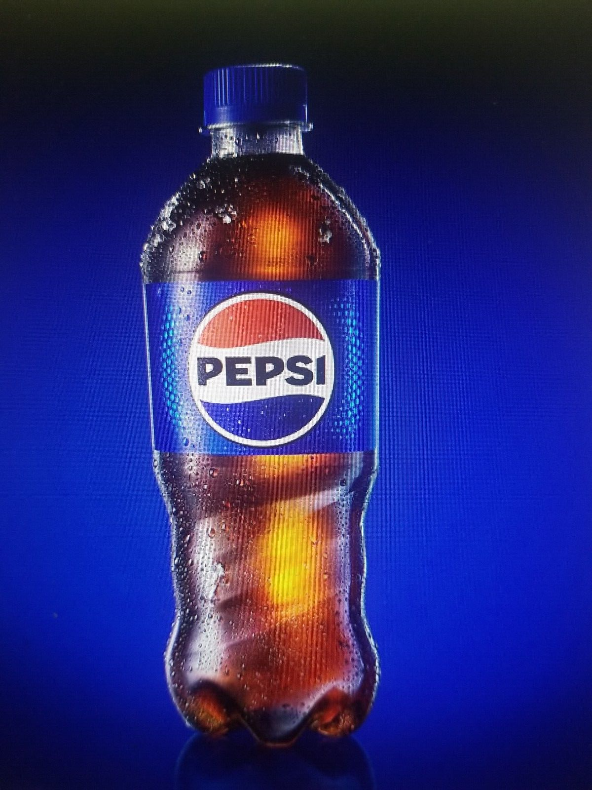 REGULAR PEPSI BEVERAGE, PLASTIC BOTTLES (16.9 fl. oz, 24