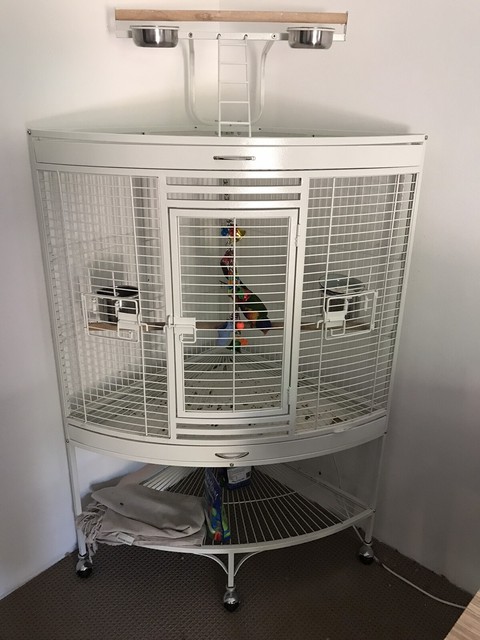 lorikeet cage