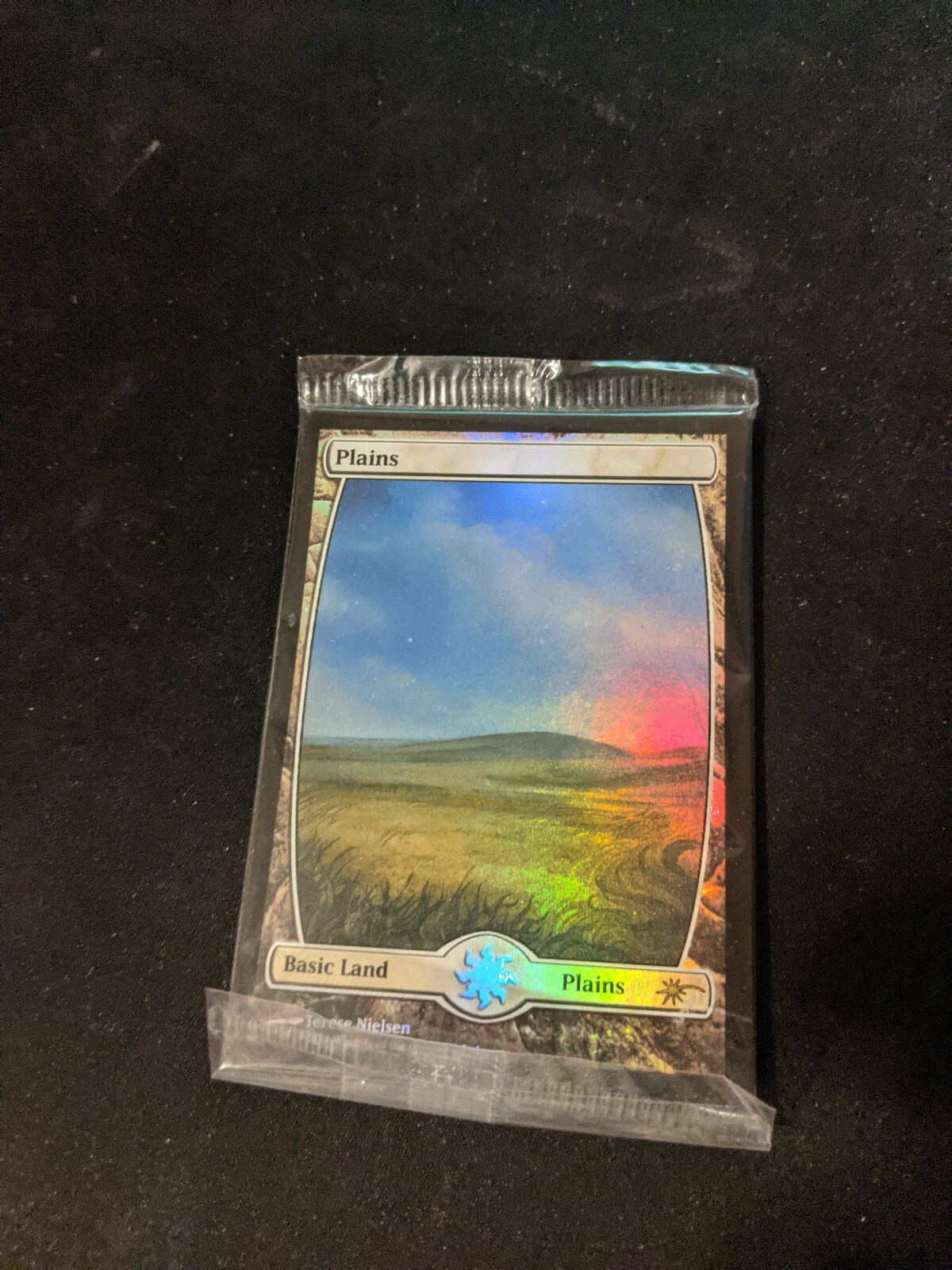 MTG 山 foil ジャッジ褒章 Terese Nielsen $_57.JPG?set_id=8800005007