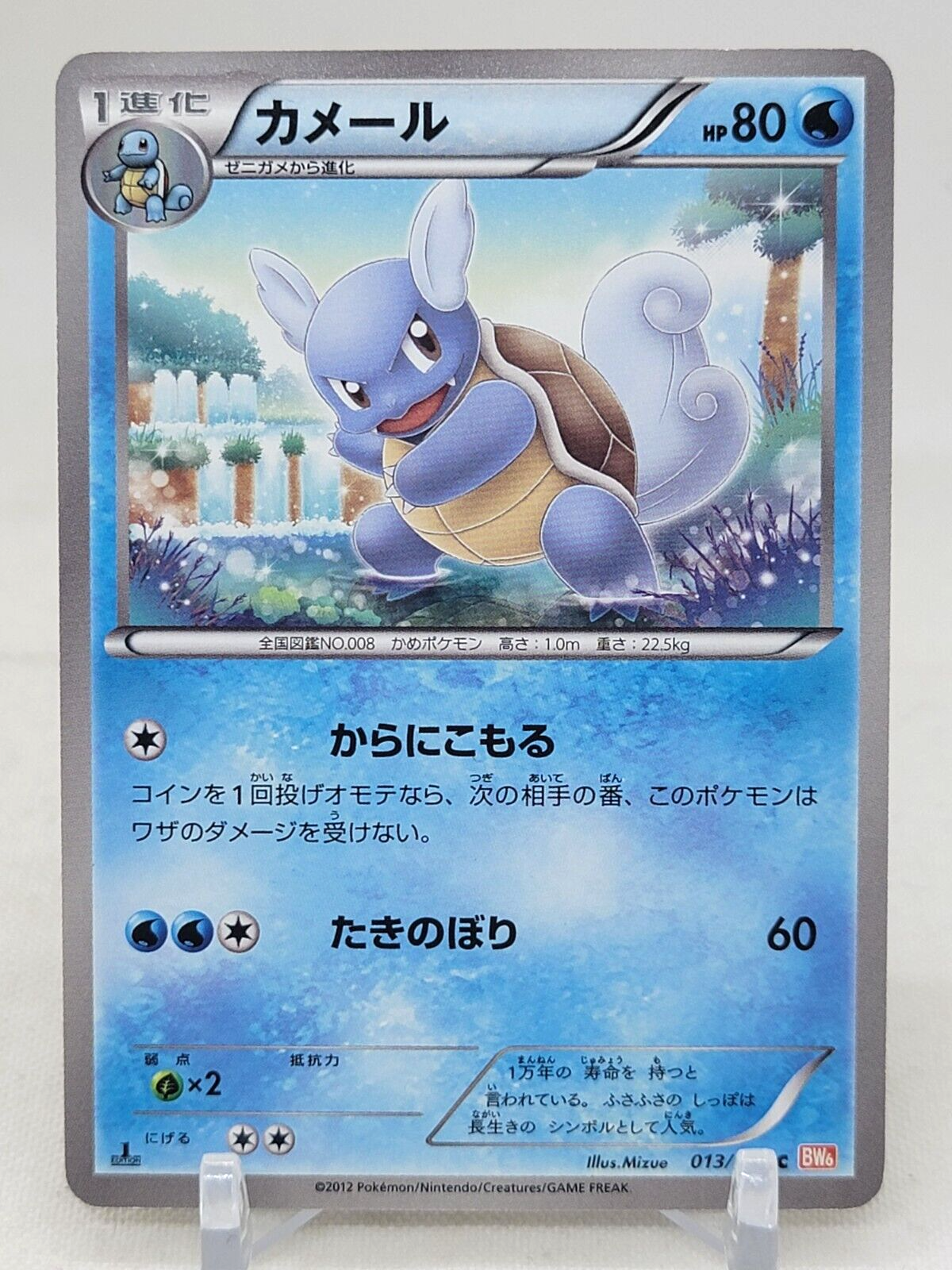 Wartortle 13/59 1st ED BW6 Cold Flare Japanese Pokemon Card