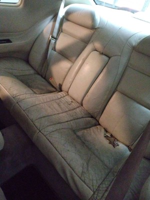 image 7 of interior