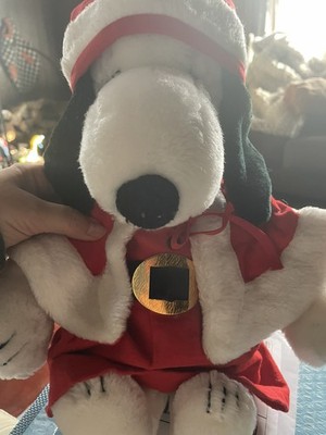 Foto dell'oggetto di un acquirente verificato