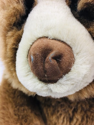 Lou Rankin Dakin Jasper Brown Grizzly Huggable Bear Stuffed Animal Plush Friend