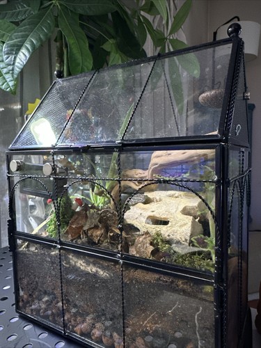 Fotos del artículo de un comprador verificado