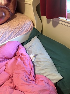 Objectfoto('s) van geverifieerde koper