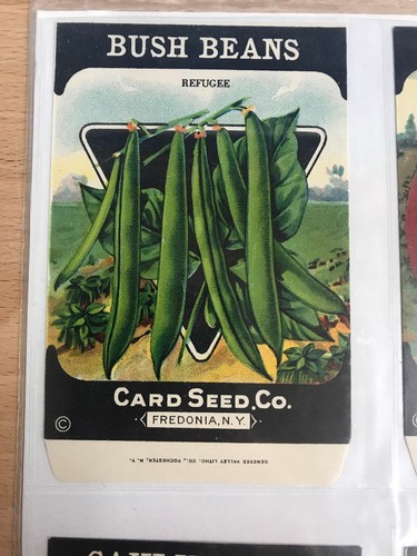 (4) Antique ~ 1920's ~ Card Seed Co. Empty ~ Seed Packets ~ Fredonia, NY