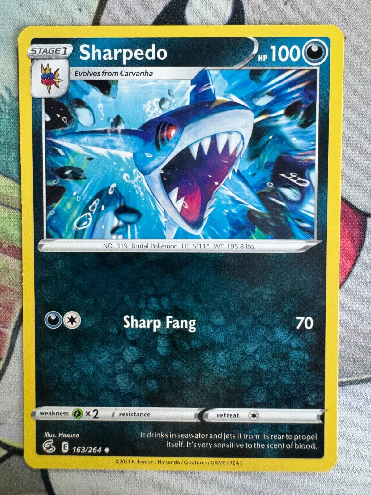 Sharpedo Non Holo English Pokemon TCG BKY481 | eBay Sharpedo Non Holo English Pokemon TCG BKY481 | eBay