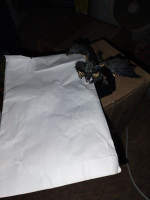 Item photo(s) from verified buyer