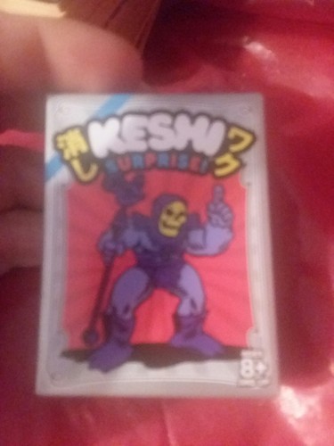 Lot of 2 Geek fuel Exp Exclusive Masters Of The Universe Kenshi Mini Figures