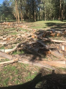 firewood