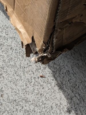 Artikelfoto(s) von einem verifizierten Käufer