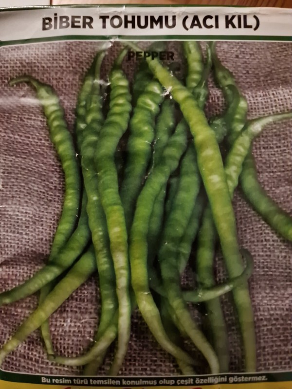 TÃ¼Rkische Peperoni Samen, Aci Kil Biber Mittelscharf, 10+ Samen