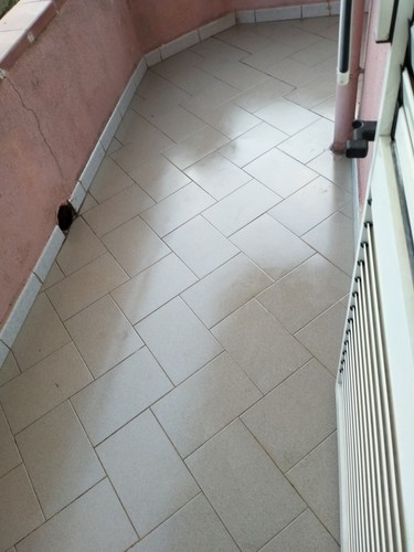 Foto dell'oggetto di un acquirente verificato