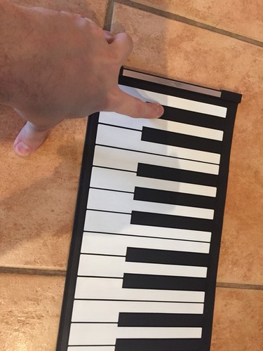 Sharper Image 49 Key Play 'n' Roll Electronic Piano W / AC Power Supply